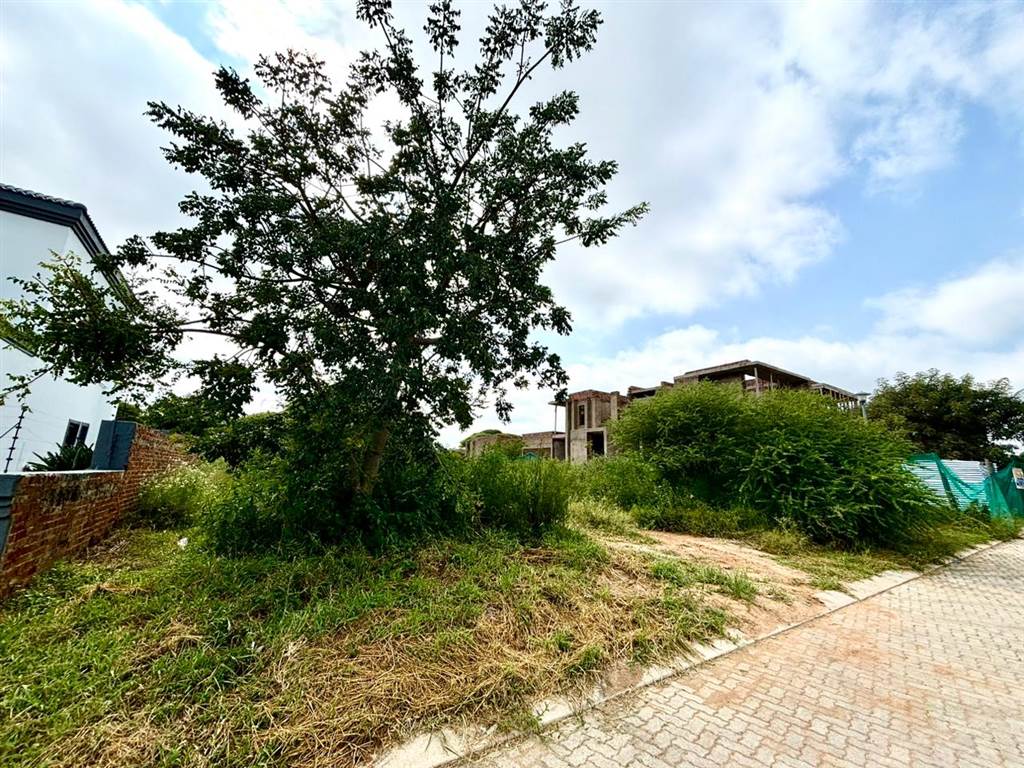 800 m² Land available in Bendor photo number 2