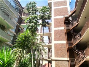 3 Bed Apartment in Berea