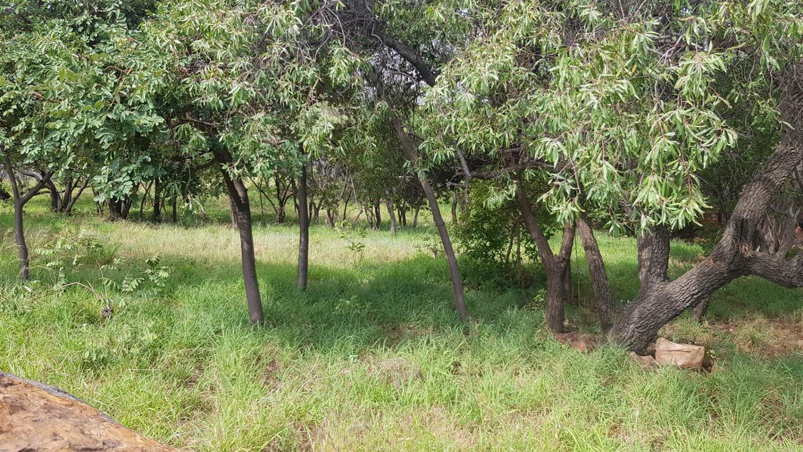 1312 m² Land available in Cashan photo number 2