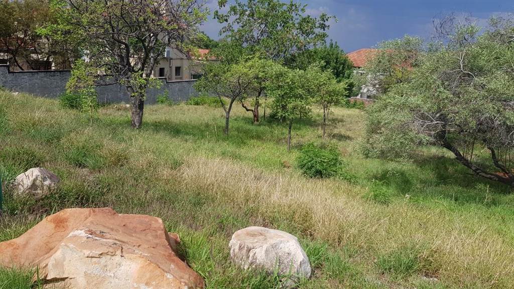 1312 m² Land available in Cashan photo number 4