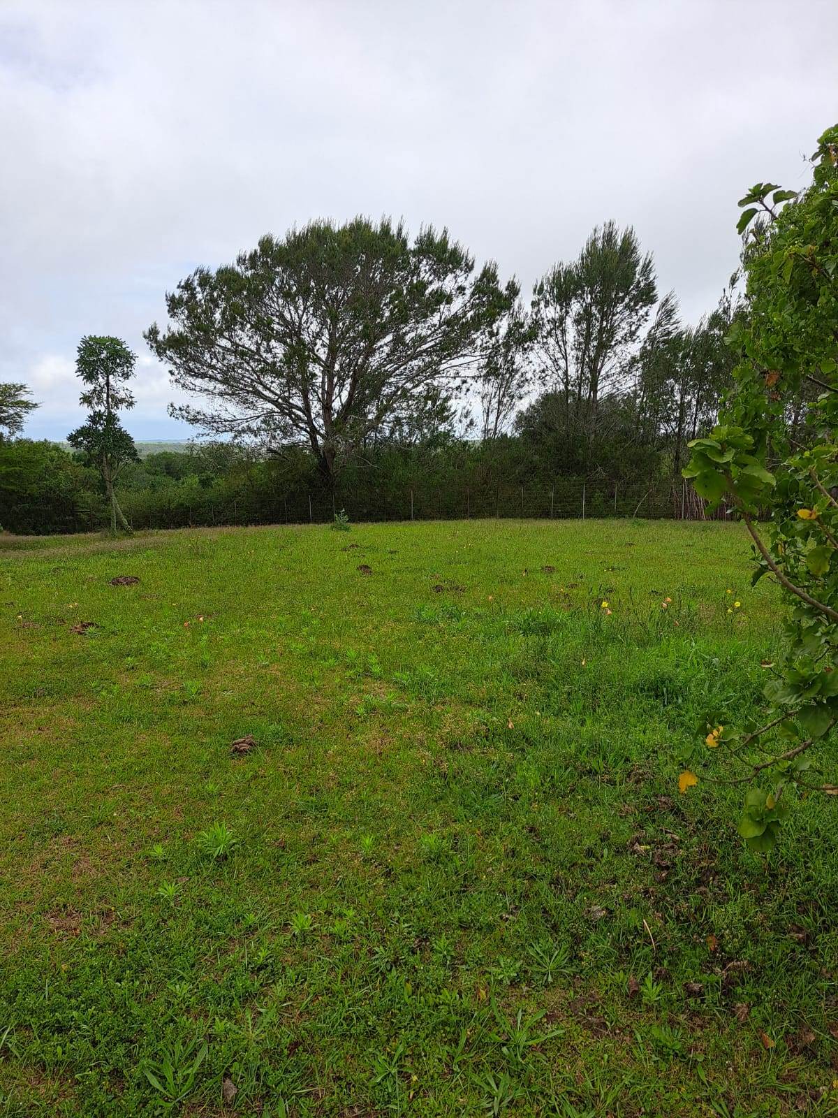 1285 m² Land available in Bathurst and Surrounds photo number 3