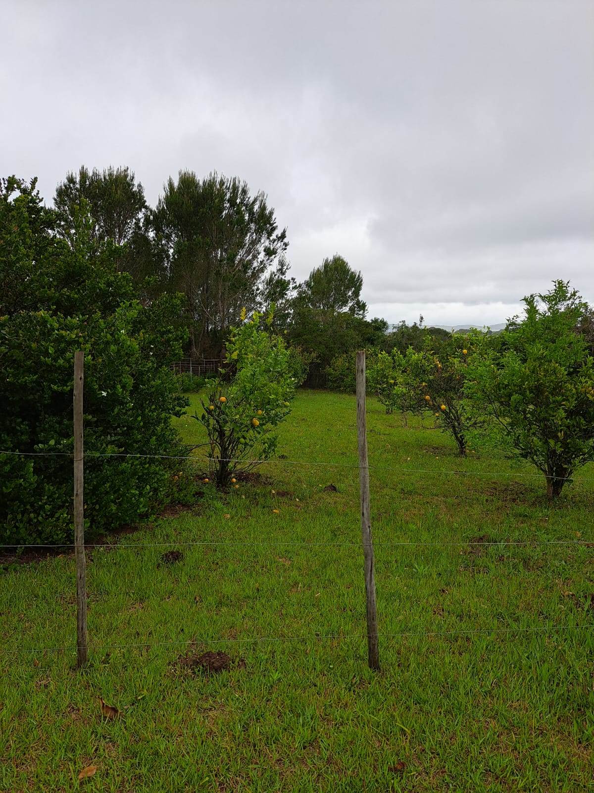 1285 m² Land available in Bathurst and Surrounds photo number 5