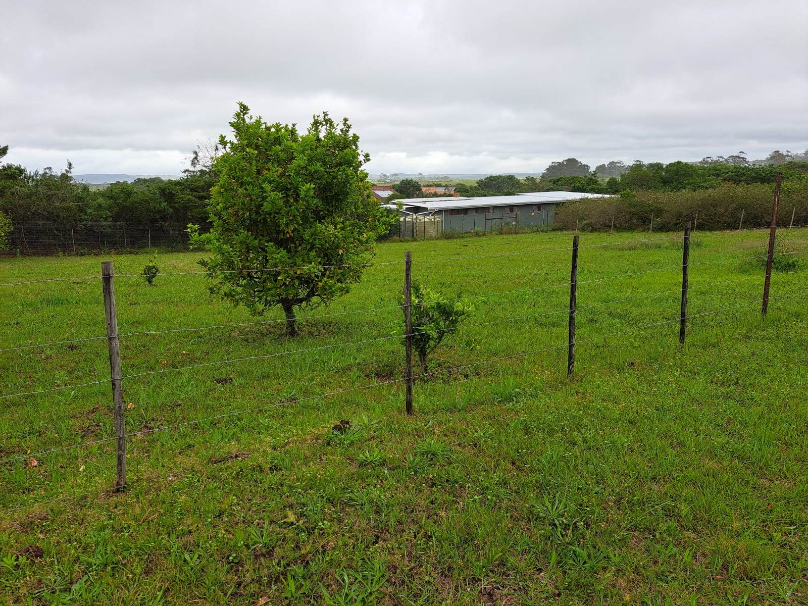 1285 m² Land available in Bathurst and Surrounds photo number 1