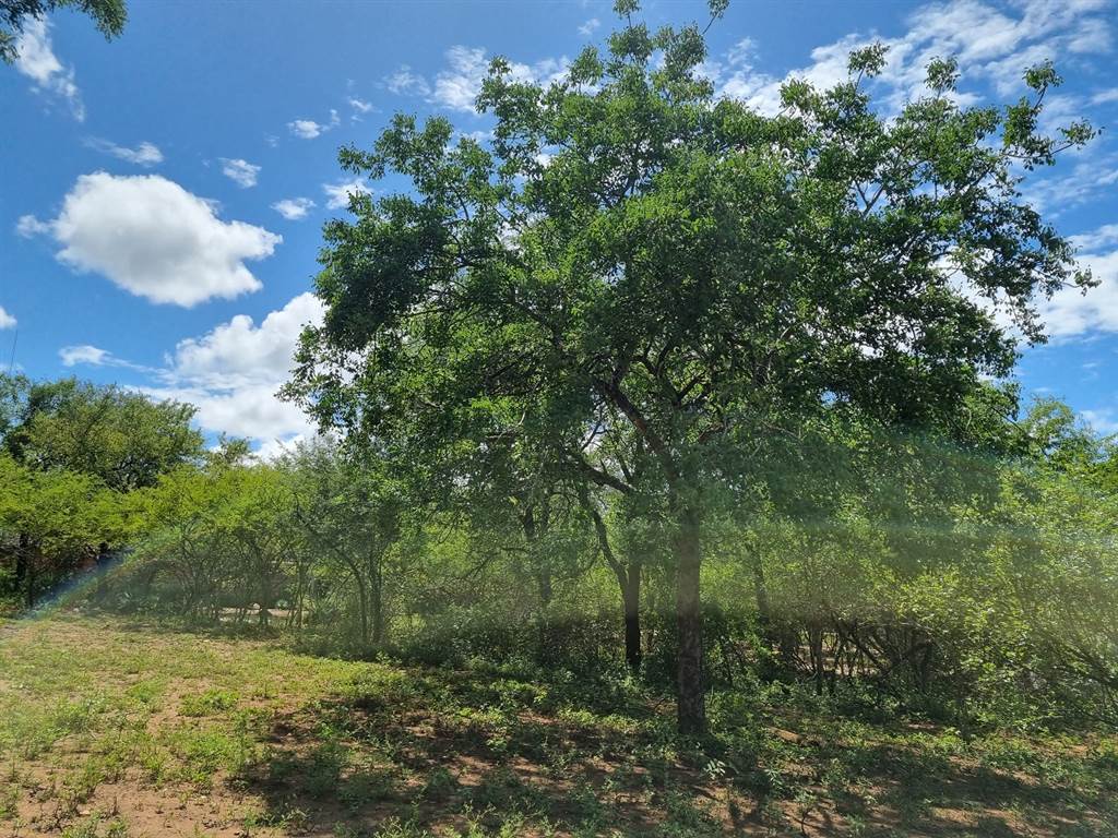 1580 m² Land available in Marloth Park photo number 5