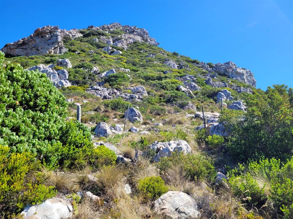 1080 m Land for sale in Pringle Bay T4479866 Private Property