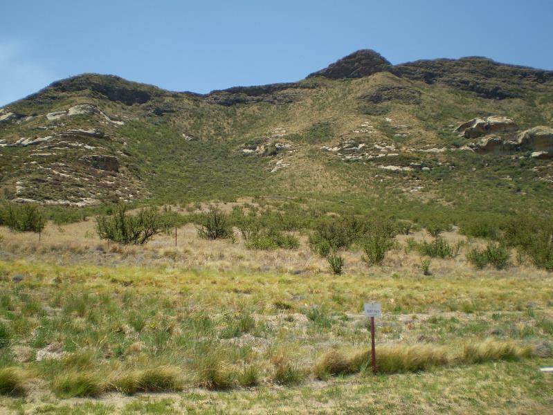1404 m² Land available in Clarens photo number 6