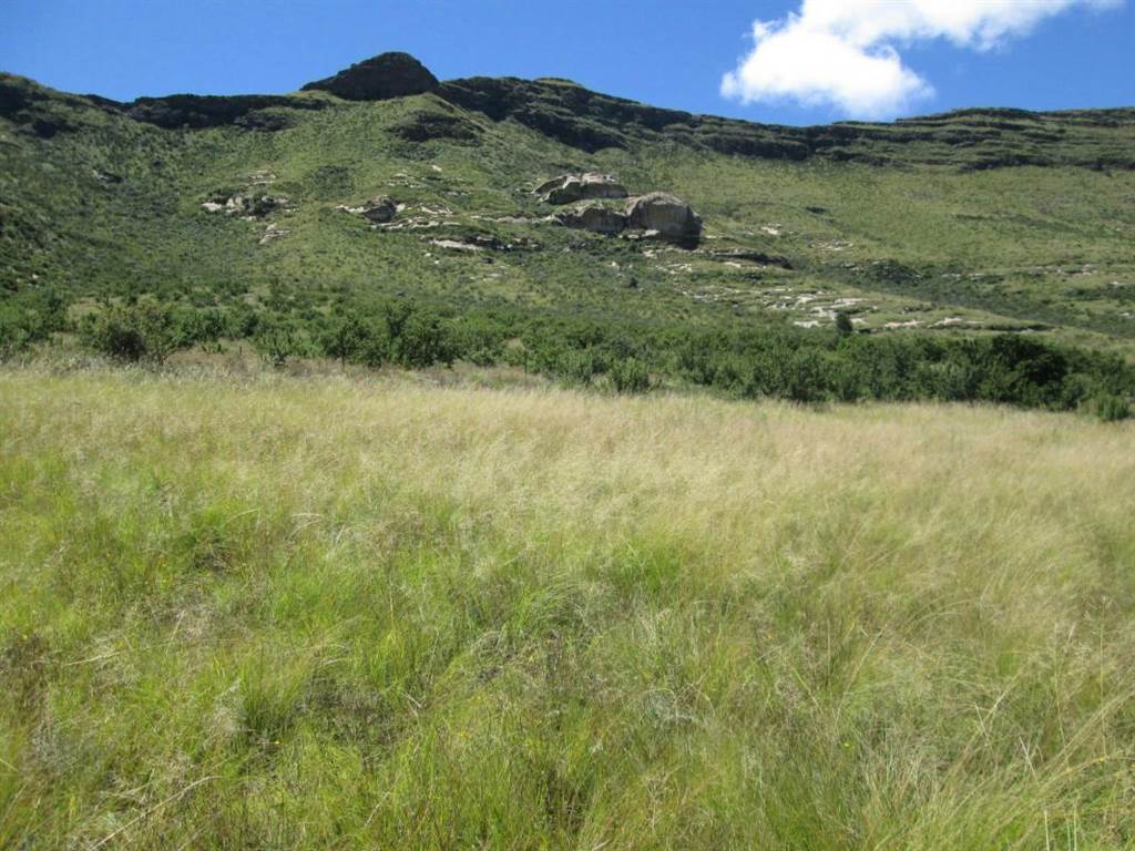 1404 m² Land available in Clarens photo number 2