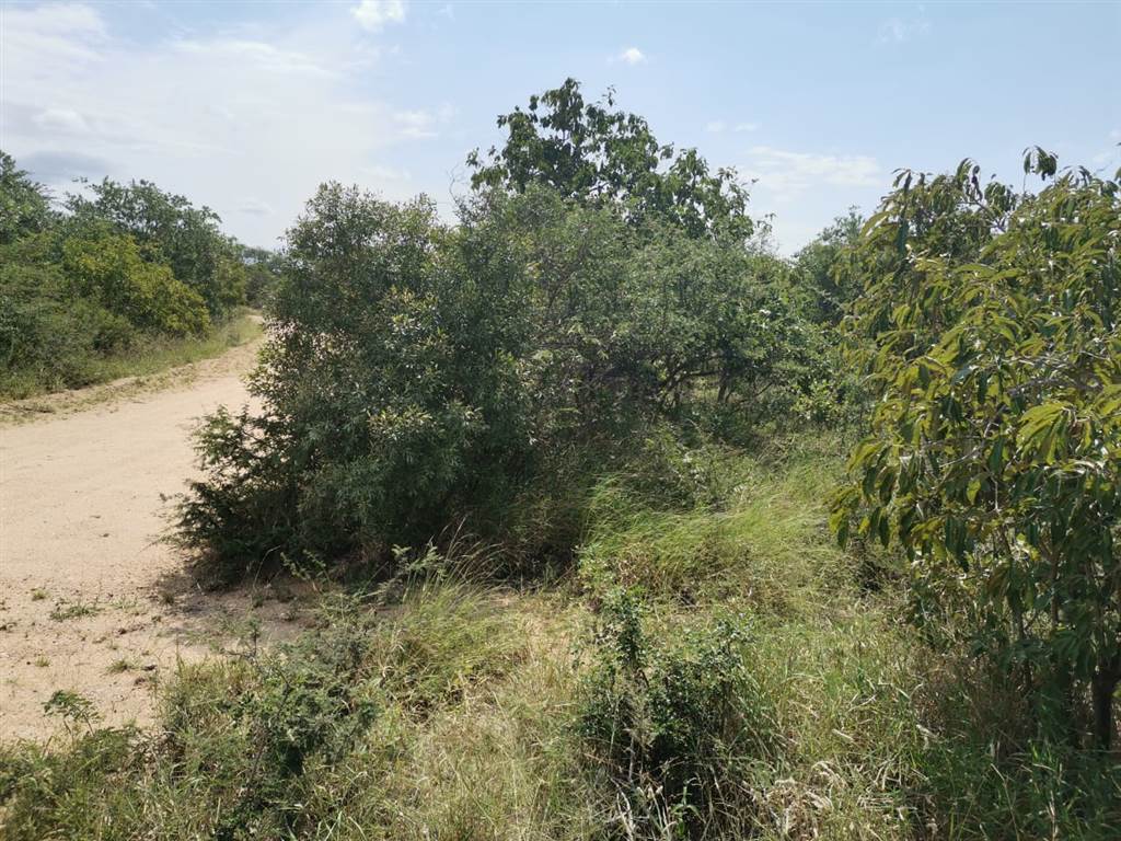 1.1 ha Land available in Moditlo Nature Reserve photo number 6