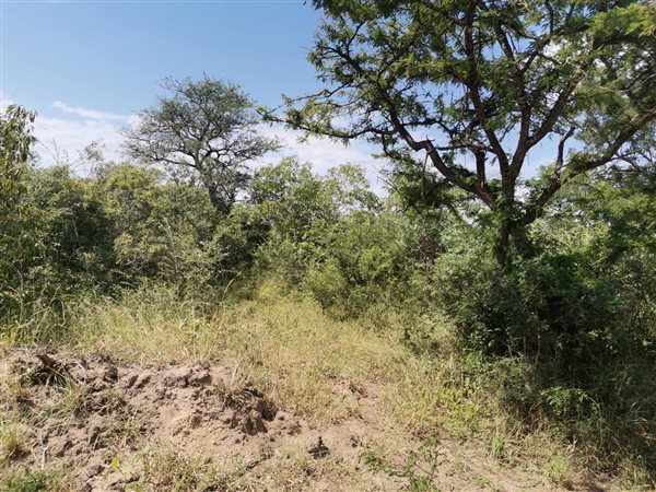 1.1 ha Land available in Moditlo Nature Reserve