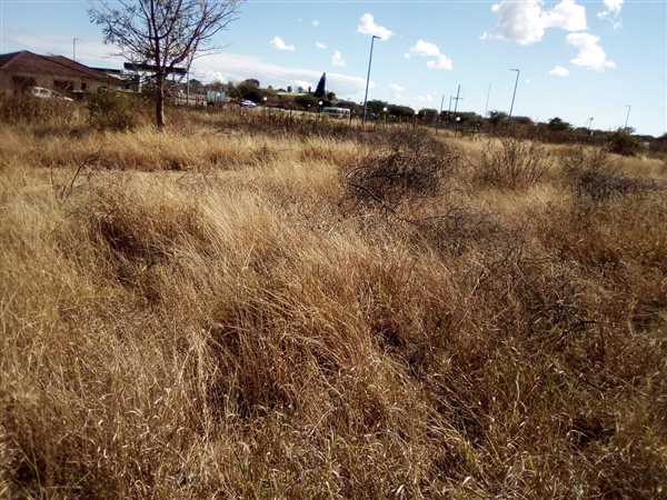 690 m² Land available in Dendron