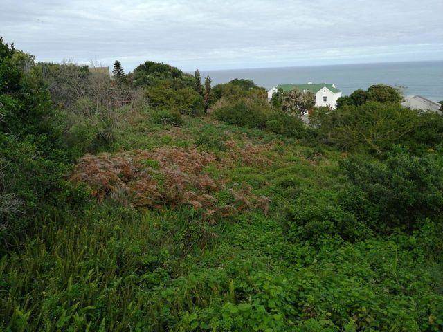 920 m² Land available in Brenton on Sea photo number 1