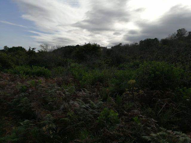 920 m² Land available in Brenton on Sea photo number 3