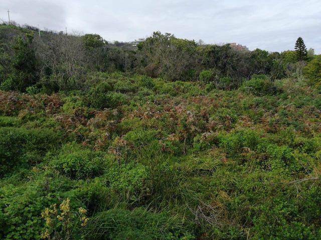 920 m² Land available in Brenton on Sea photo number 7