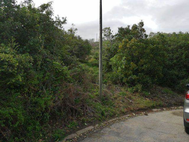 920 m² Land available in Brenton on Sea photo number 6