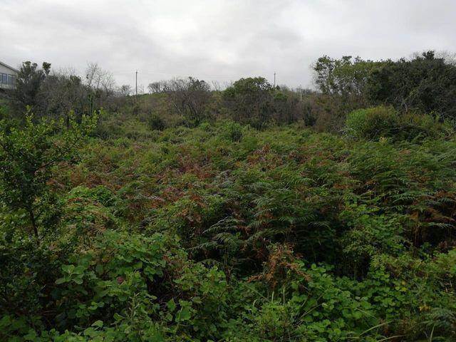 920 m² Land available in Brenton on Sea photo number 10