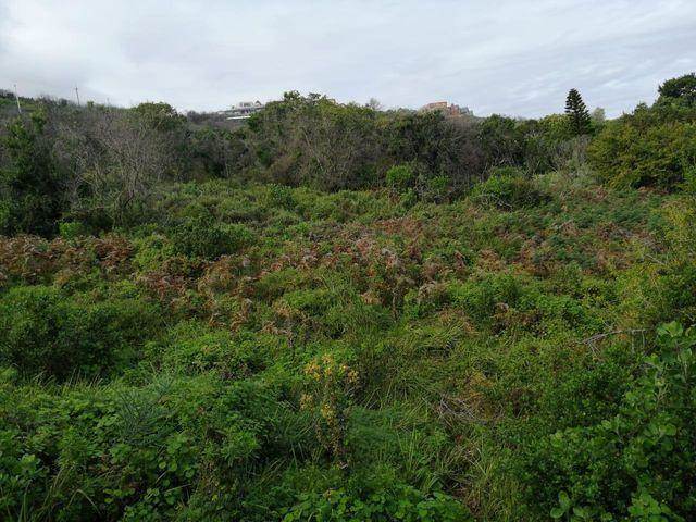 920 m² Land available in Brenton on Sea photo number 5
