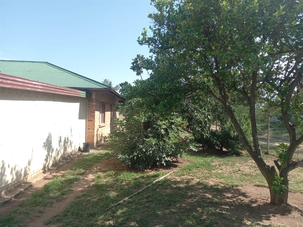 4 Bed House in Klerksdorp photo number 5