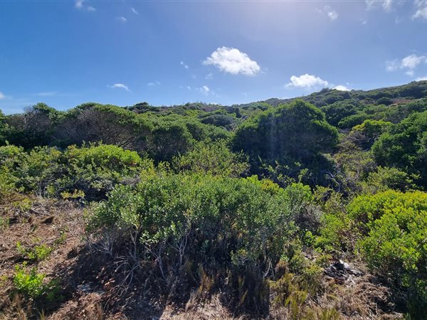 1611 m² Land available in Suiderstrand