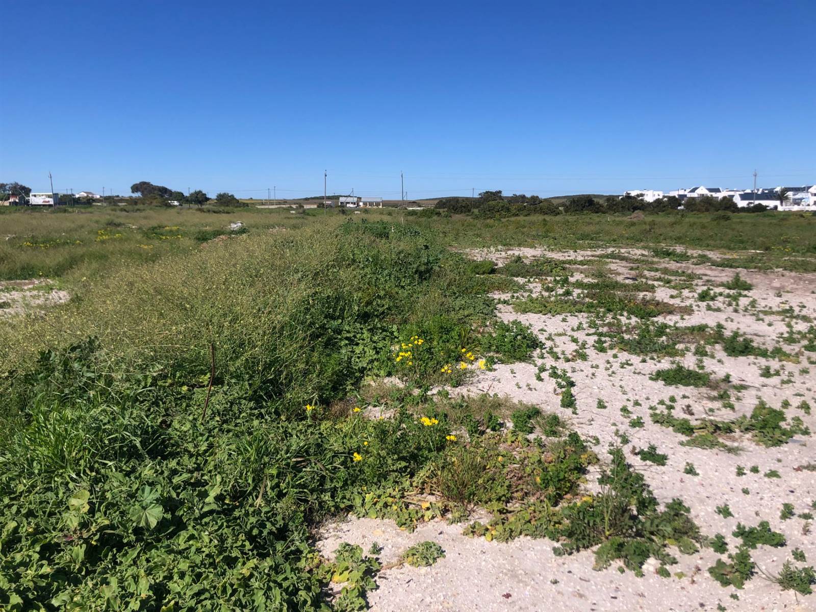 6350 m² Land available in Yzerfontein photo number 5