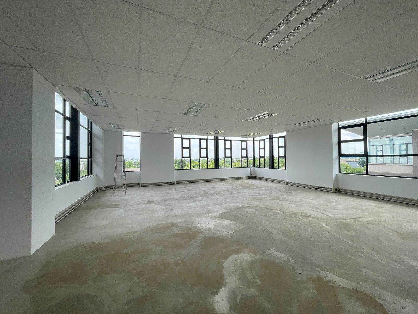 1320  m² Commercial space in Parkhaven photo number 19