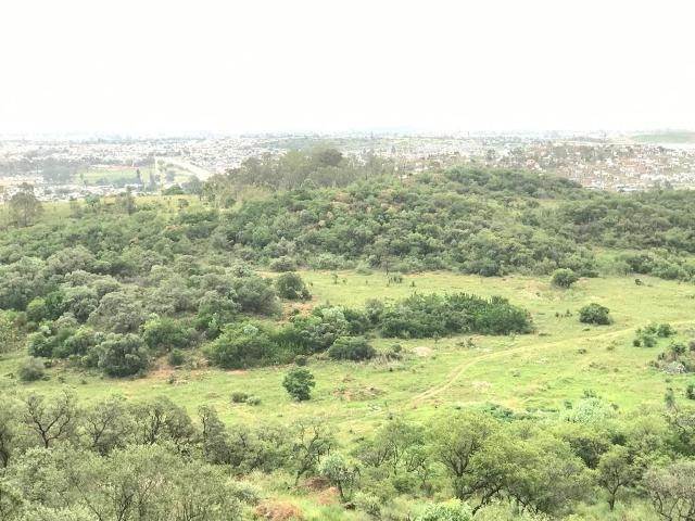 1050 m² Land available in Naturena photo number 9