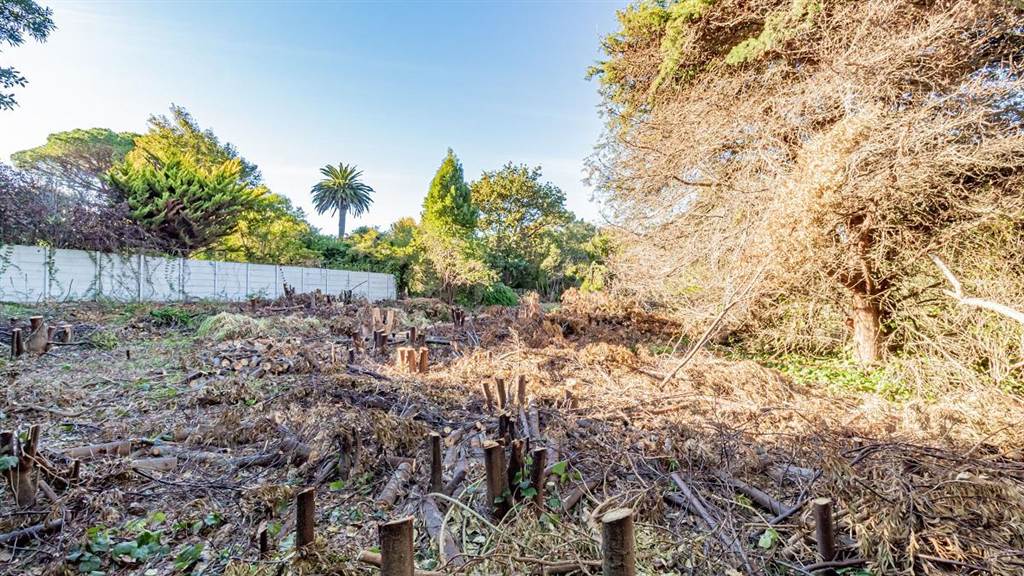 3024 m² Land available in Constantia photo number 14