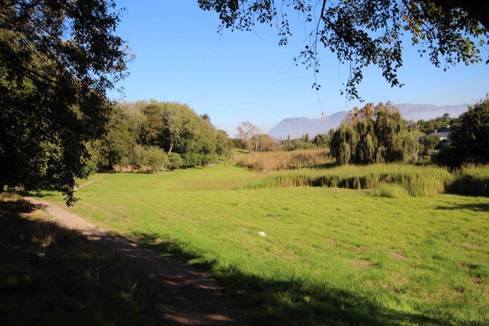 3024 m² Land available in Constantia photo number 8