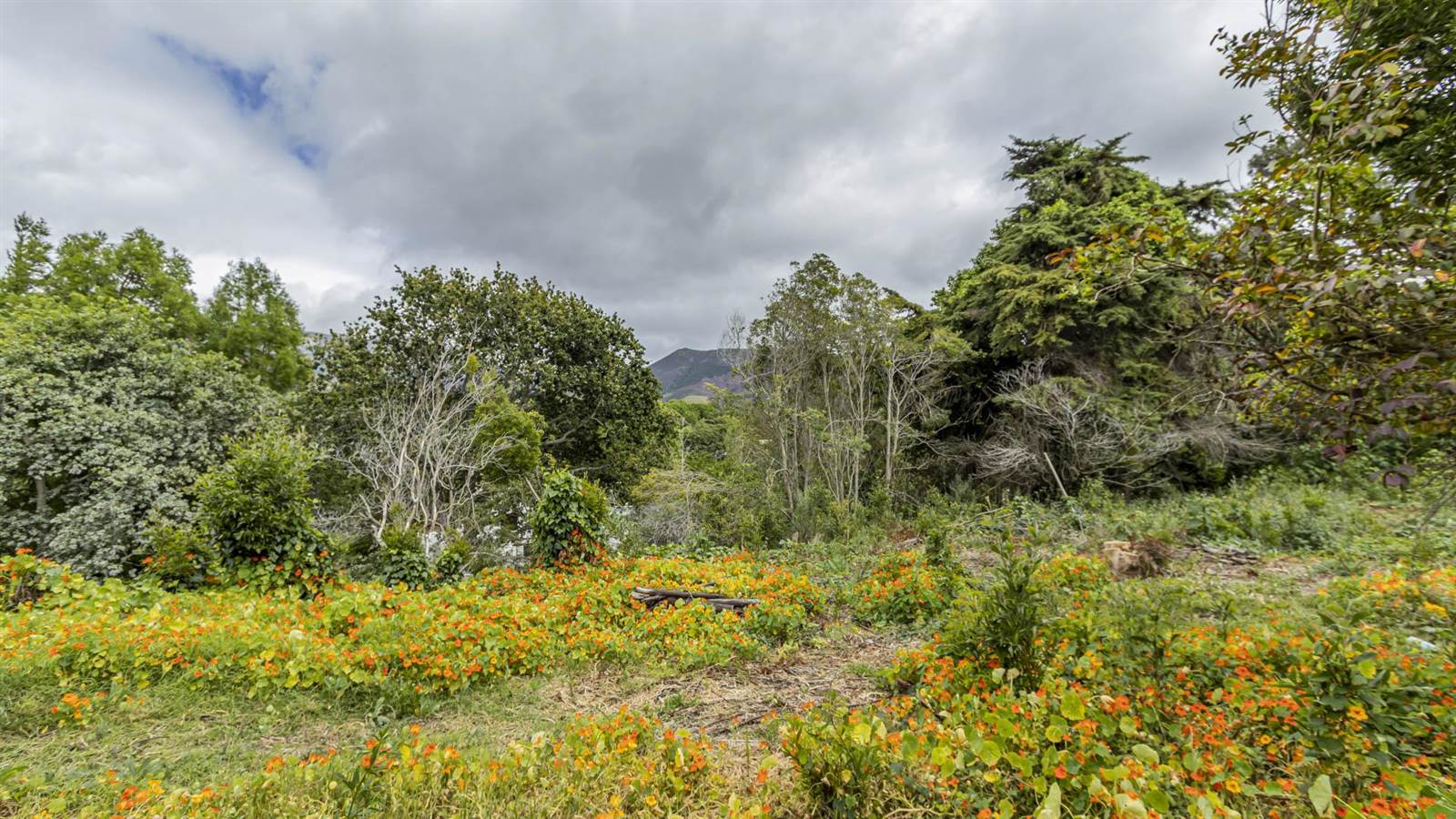 3024 m² Land available in Constantia photo number 9