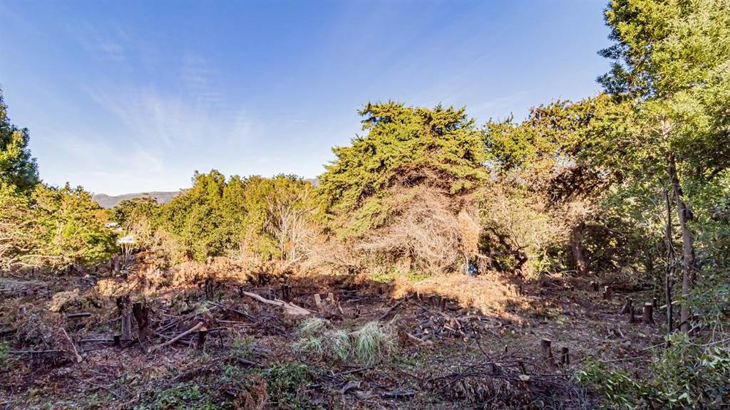 3024 m² Land available in Constantia photo number 3