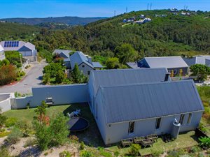 House in Green Pastures