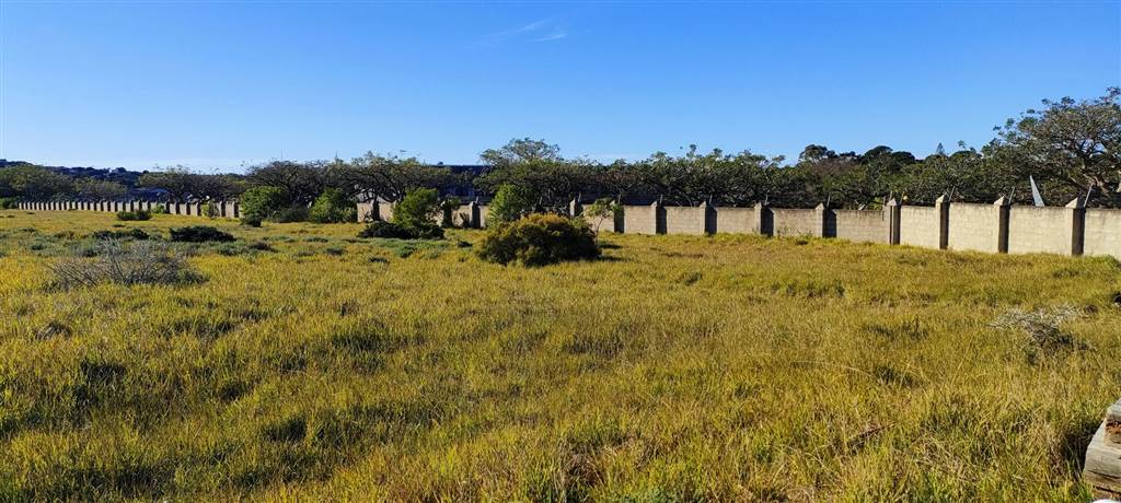 987 m² Land available in Boesmansriviermond photo number 10