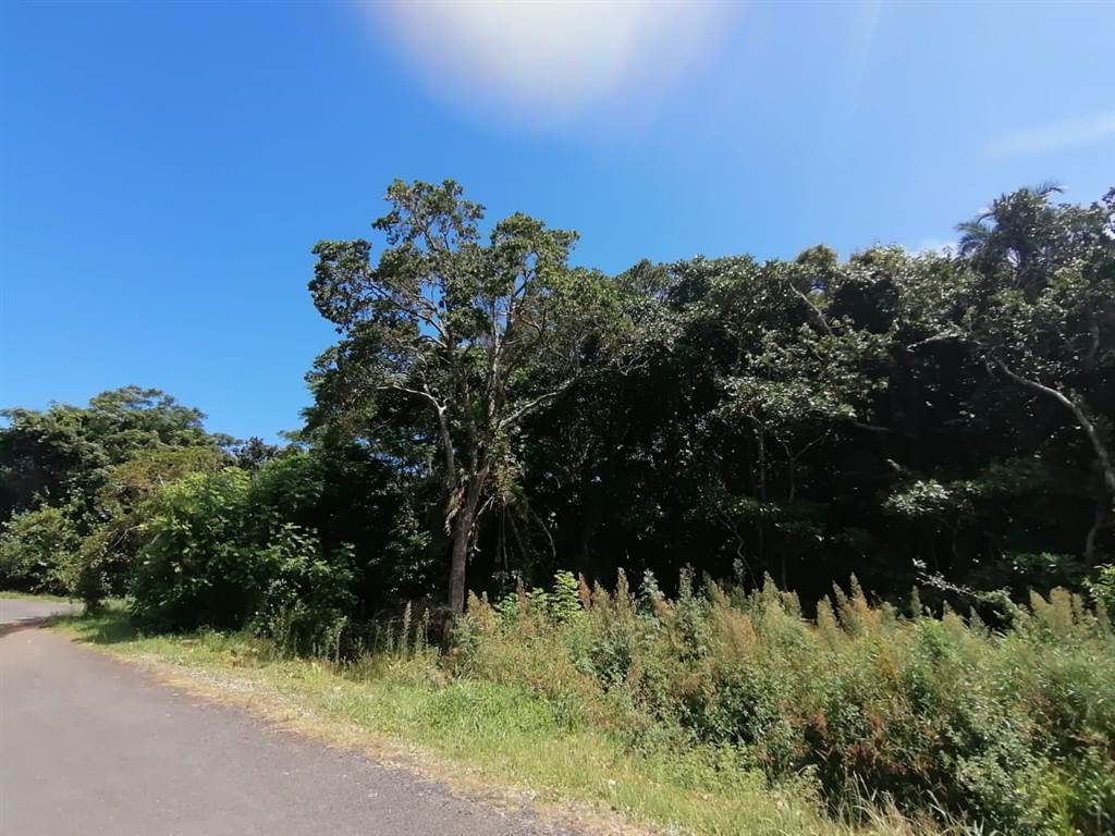 1356 m² Land available in Ramsgate photo number 1