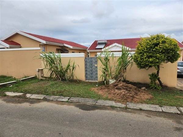3 Bedroom House 3 Bedroom House