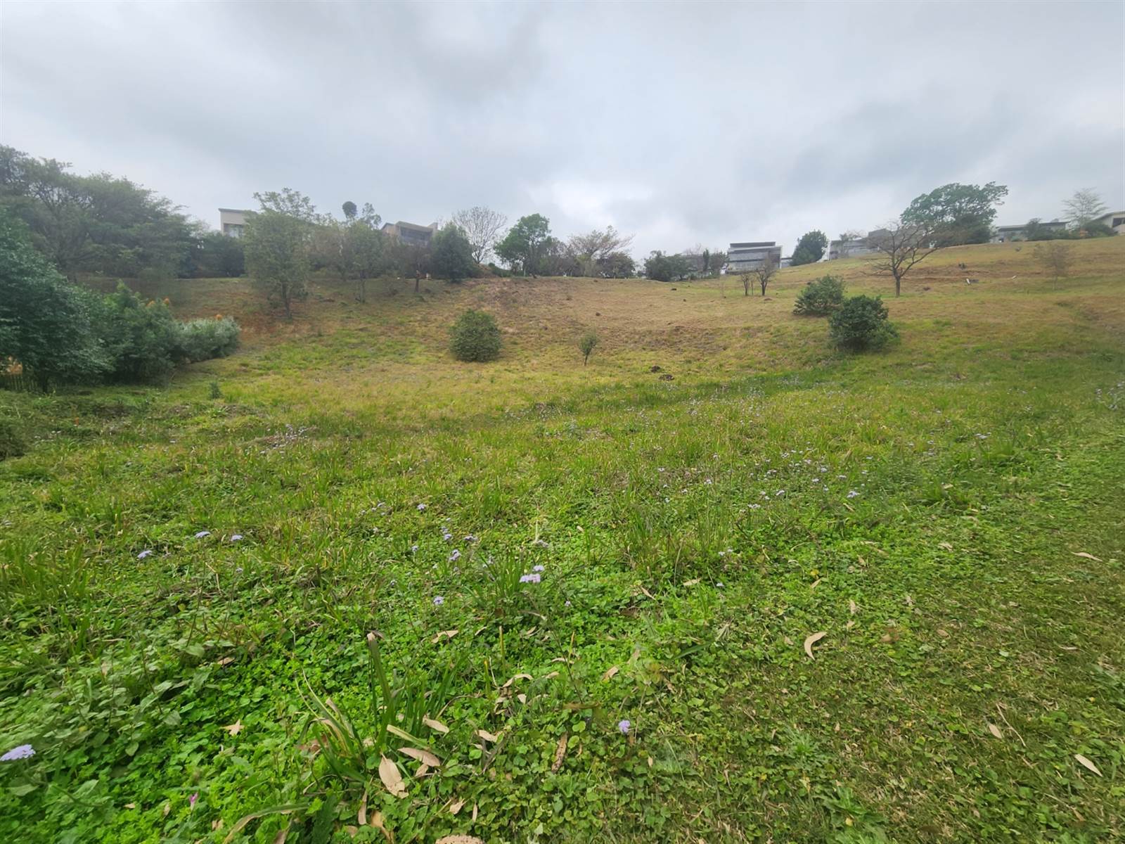 1743 m² Land available in Montrose photo number 3