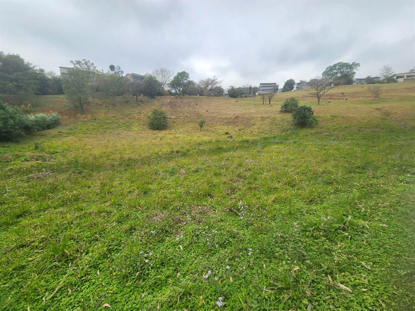 1743 m² Land available in Montrose photo number 2