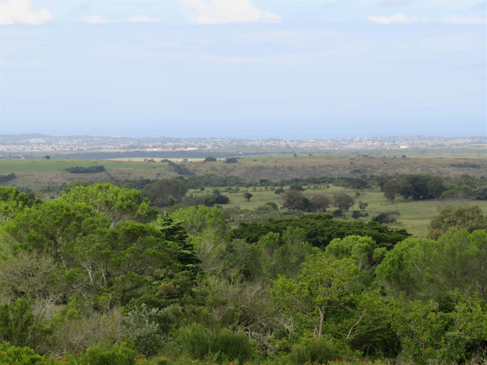 2012 m² Land available in Bathurst and Surrounds photo number 3