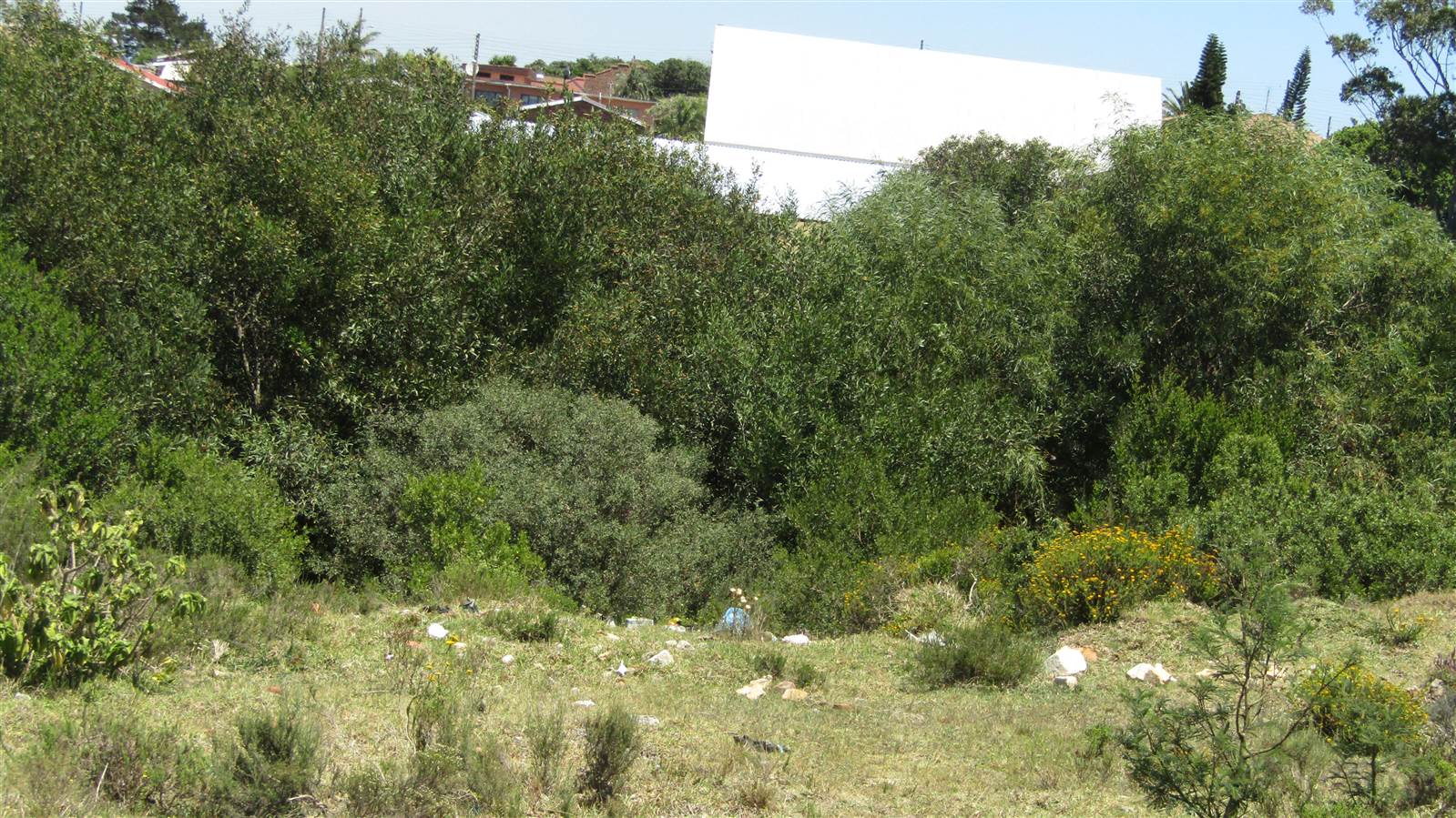 245 m² Land available in Kruisfontein photo number 3