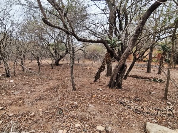 1590 m² Land available in Marloth Park
