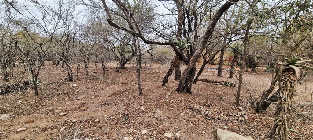 1590 m² Land available in Marloth Park photo number 1