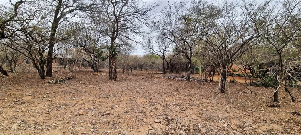1590 m² Land available in Marloth Park photo number 3