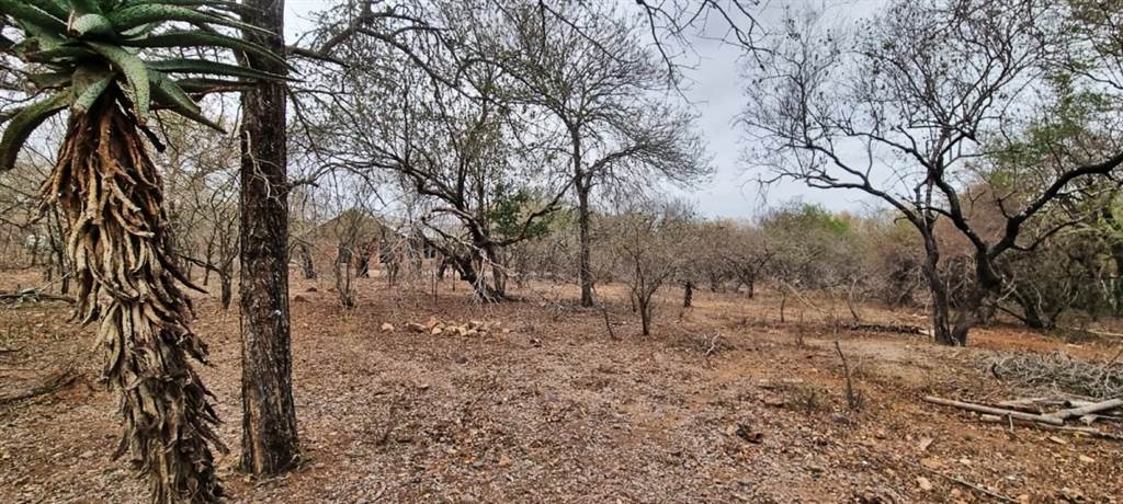 1590 m² Land available in Marloth Park photo number 2