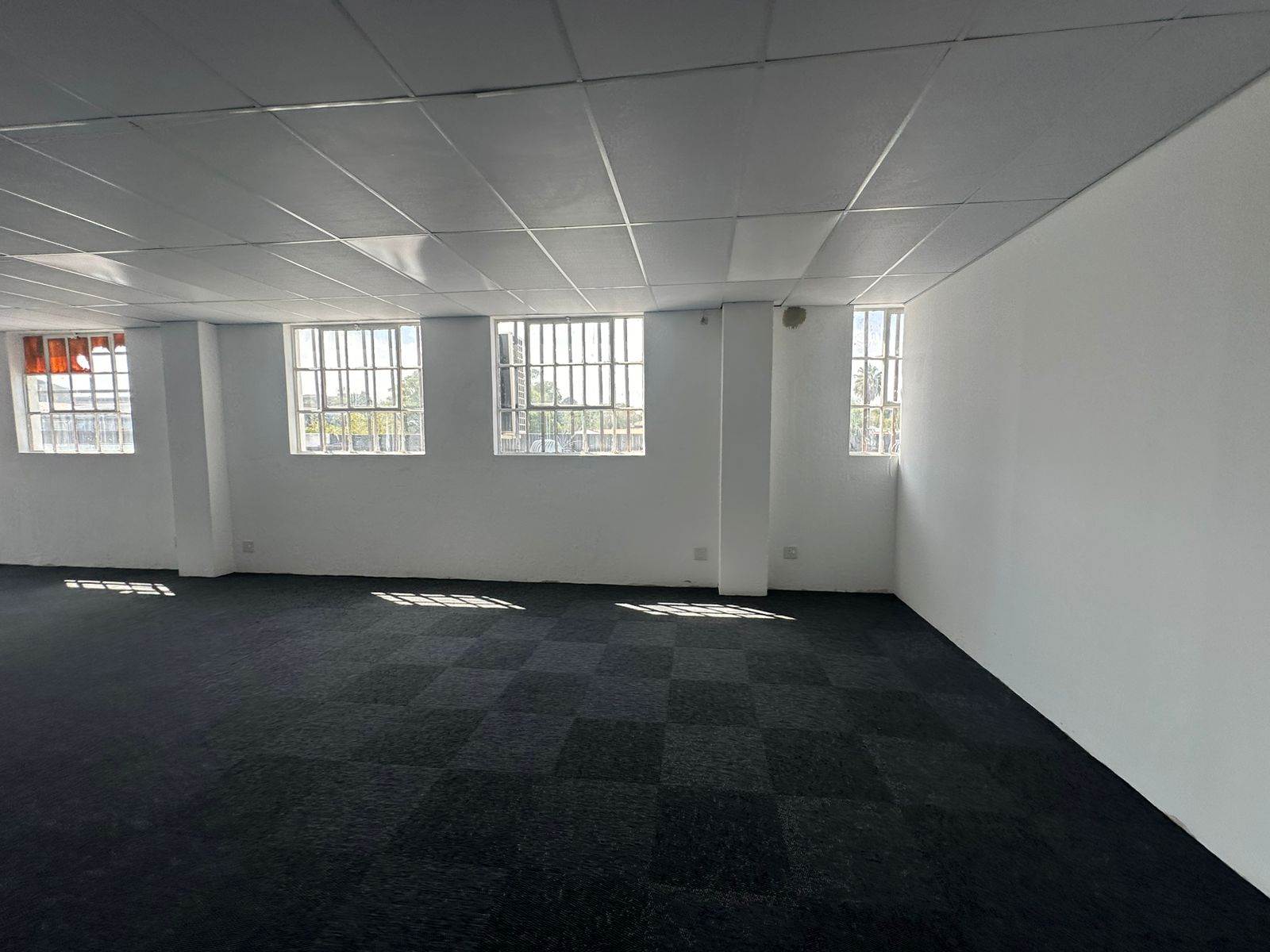80  m² Commercial space in New Redruth photo number 8