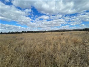 7.5 ha Land available in Wildebeeshoek AH