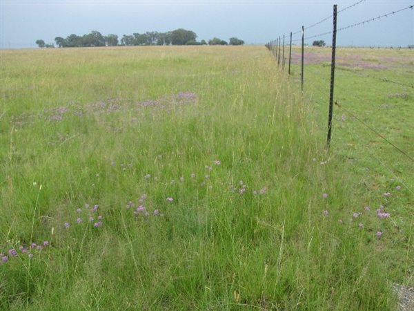 10 ha Land available in Meyerton