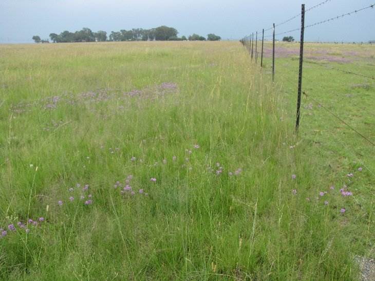 10 ha Land available in Meyerton photo number 1