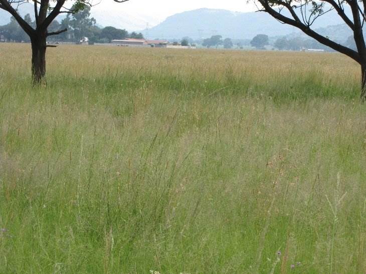 10 ha Land available in Meyerton photo number 4