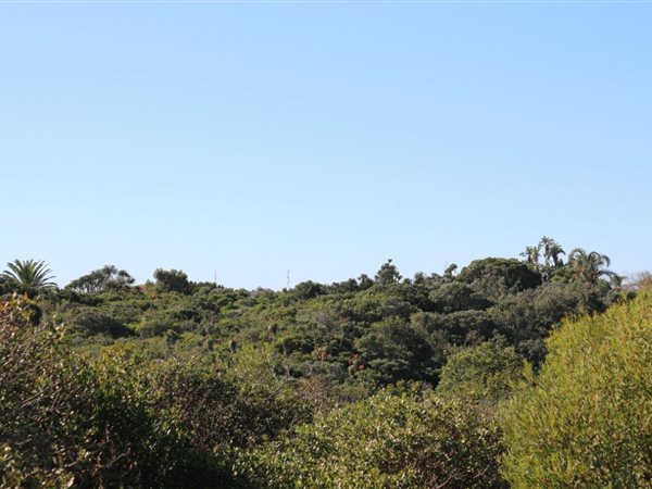 1232 m² Land available in Jeffreys Bay