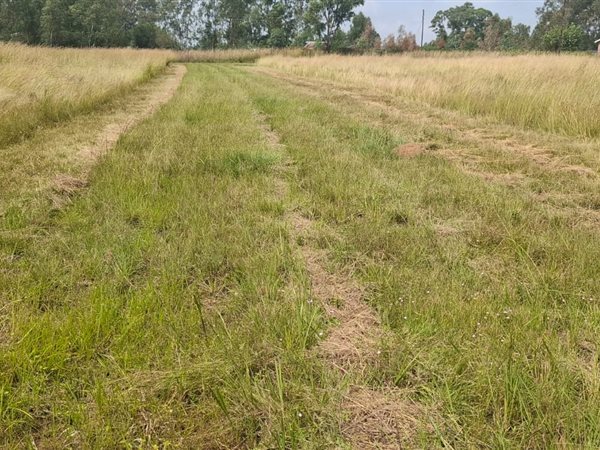 9.1 ha Land 9.1 ha Land
