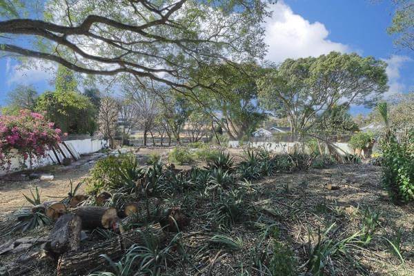 1600 m² Land available in Hurlingham photo number 9
