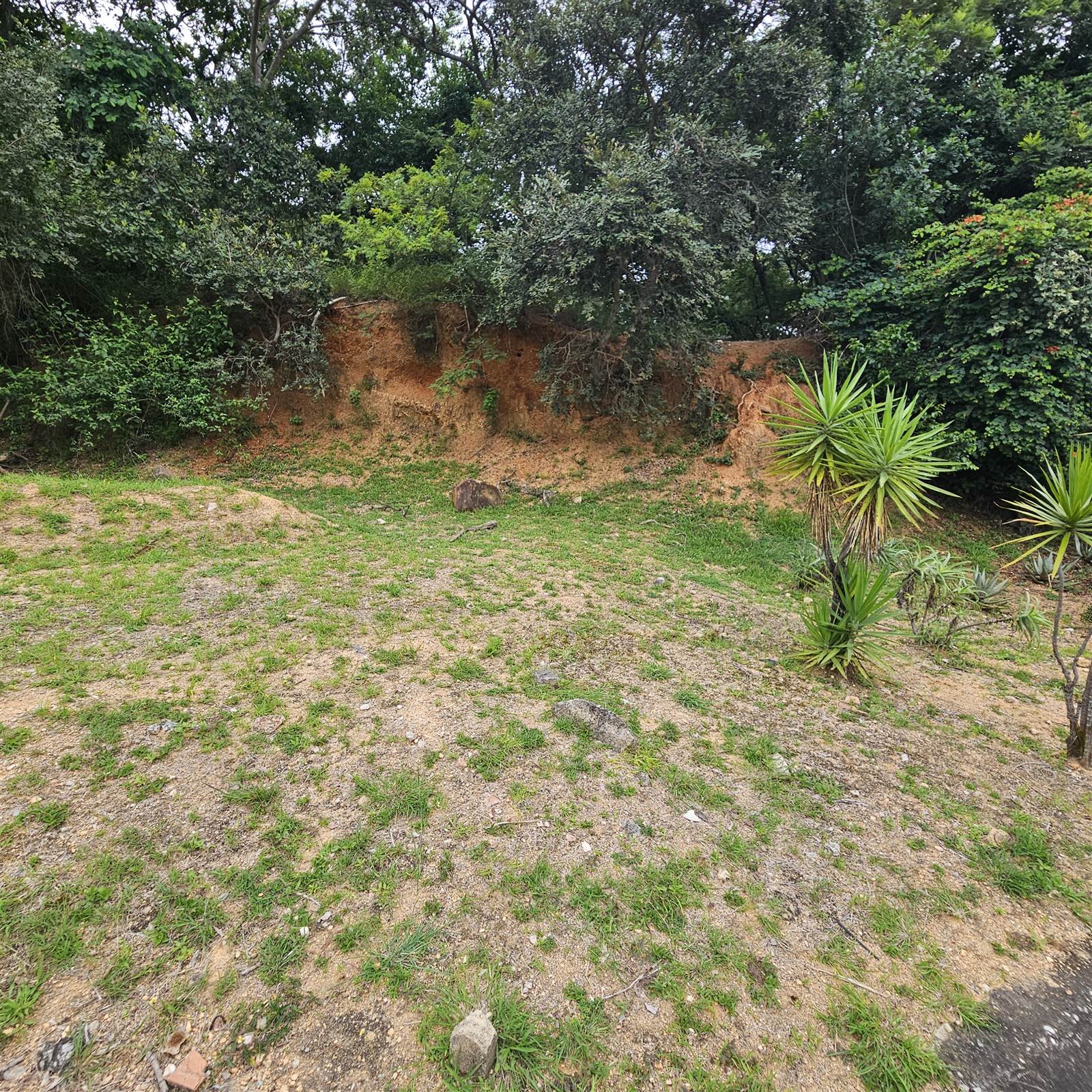 477 m² Land available in Matumi Estate photo number 1